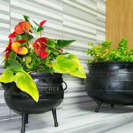 Holiday Rua Piquinho Holiday home Faja da Ovelha